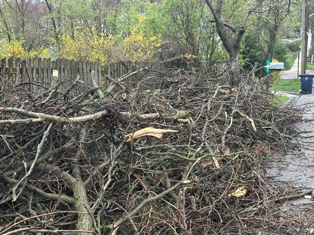 Pile of tree limbs and branches brought down during severe weather at the curb in Ann Arbor April 15, 2026