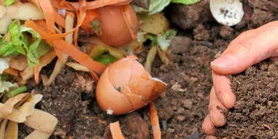 Hands holding a handful of finished compost in front of a pile of food scraps containing peels, eggshells, and other trimmings